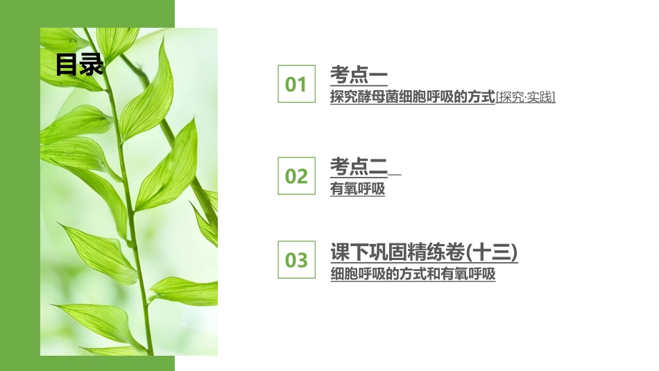 2026版正禾一本通高三一轮总复习生物-第13讲  细胞呼吸的方式和有氧呼吸.pptx_第3页