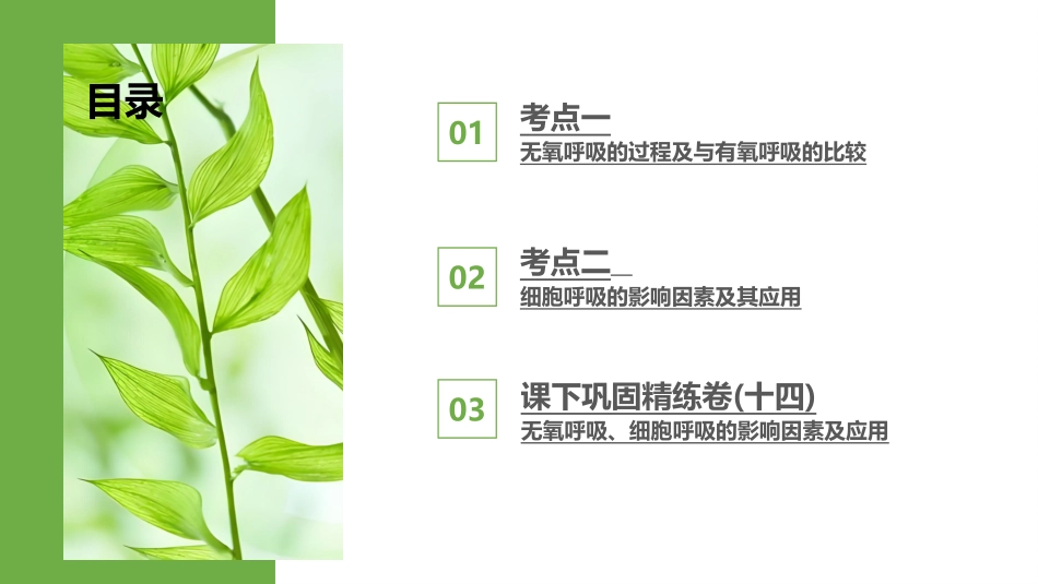2026版正禾一本通高三一轮总复习生物-第14讲  无氧呼吸、细胞呼吸的影响因素及应用.pptx_第3页