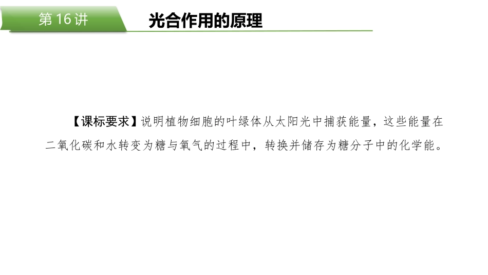 2026版正禾一本通高三一轮总复习生物-第16讲  光合作用的原理.pptx_第2页
