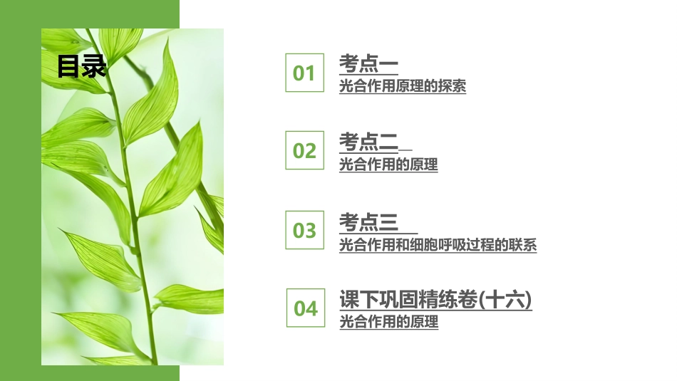 2026版正禾一本通高三一轮总复习生物-第16讲  光合作用的原理.pptx_第3页