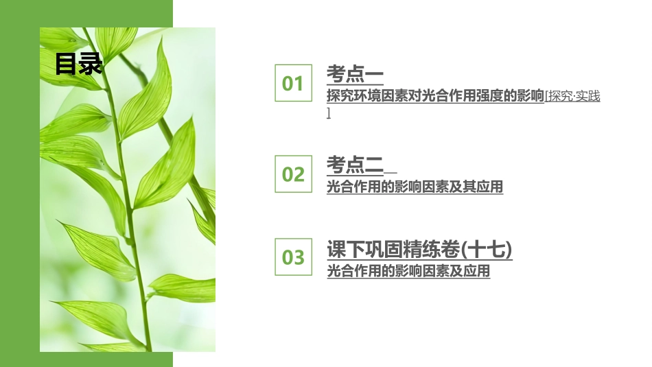 2026版正禾一本通高三一轮总复习生物-第17讲  光合作用的影响因素及应用.pptx_第3页