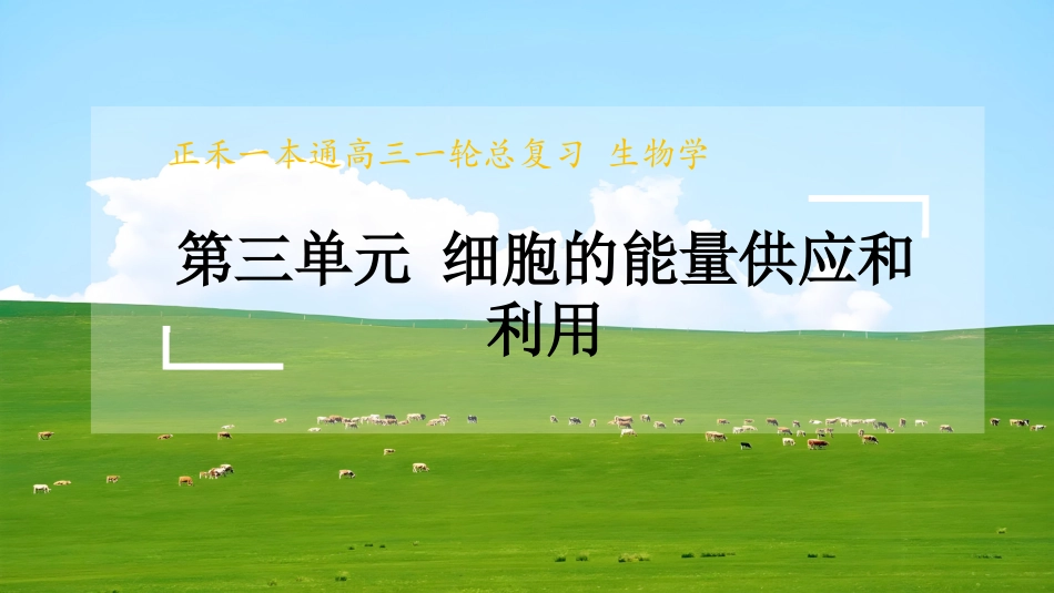 2026版正禾一本通高三一轮总复习生物-第18讲  光合速率和呼吸速率的综合分析.pptx_第1页