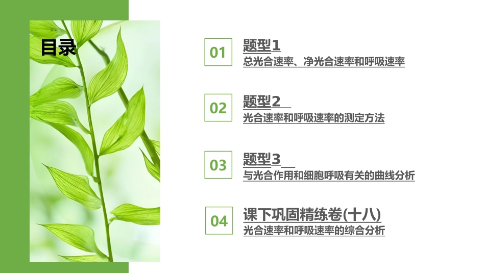 2026版正禾一本通高三一轮总复习生物-第18讲  光合速率和呼吸速率的综合分析.pptx_第3页