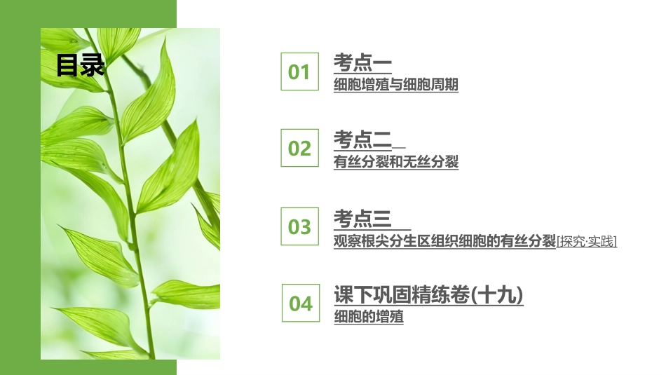 2026版正禾一本通高三一轮总复习生物-第19讲  细胞的增殖.pptx_第3页