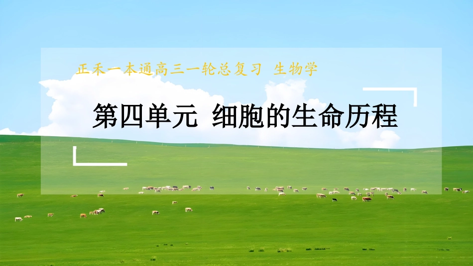 2026版正禾一本通高三一轮总复习生物-第21讲  减数分裂和有丝分裂的比较及观察蝗虫精母细胞减数分裂装片.pptx_第1页
