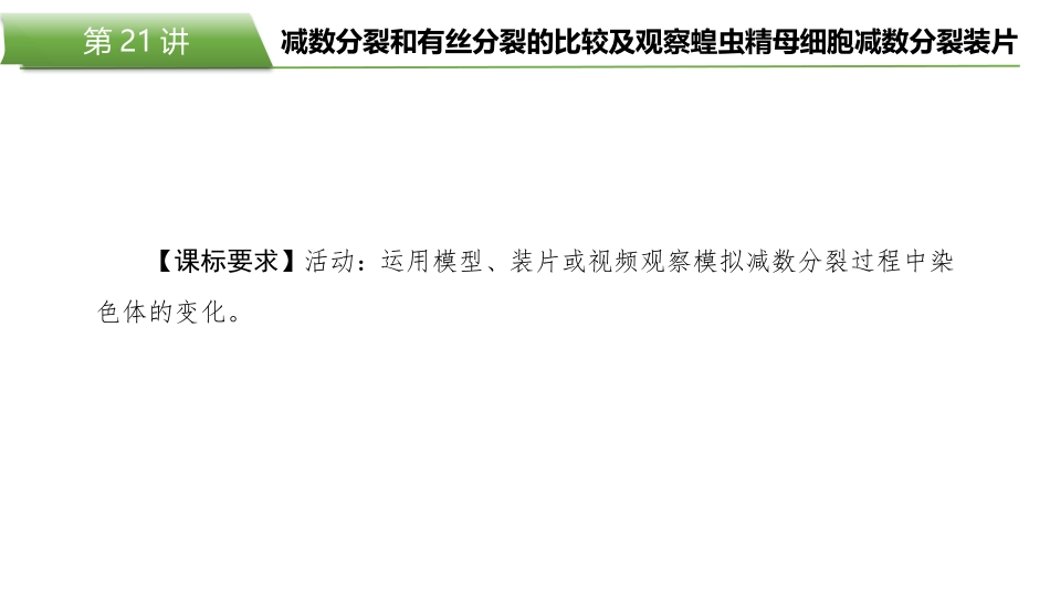 2026版正禾一本通高三一轮总复习生物-第21讲  减数分裂和有丝分裂的比较及观察蝗虫精母细胞减数分裂装片.pptx_第2页