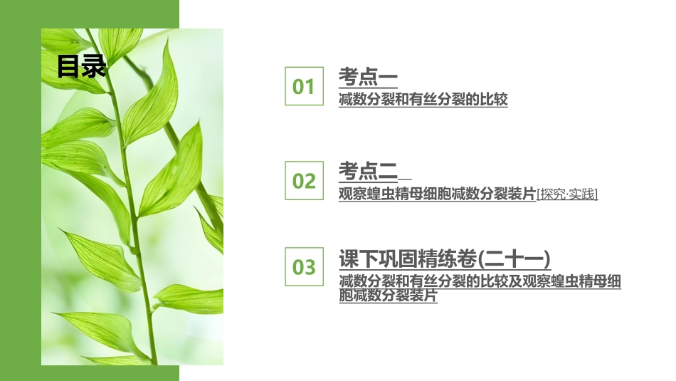 2026版正禾一本通高三一轮总复习生物-第21讲  减数分裂和有丝分裂的比较及观察蝗虫精母细胞减数分裂装片.pptx_第3页