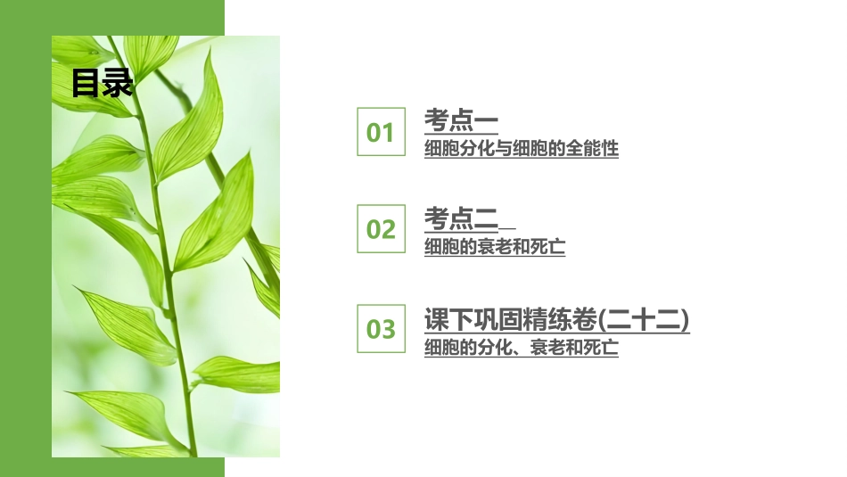 2026版正禾一本通高三一轮总复习生物-第22讲  细胞的分化、衰老和死亡.pptx_第3页