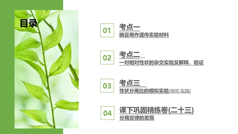 2026版正禾一本通高三一轮总复习生物-第23讲  分离定律的发现.pptx_第3页