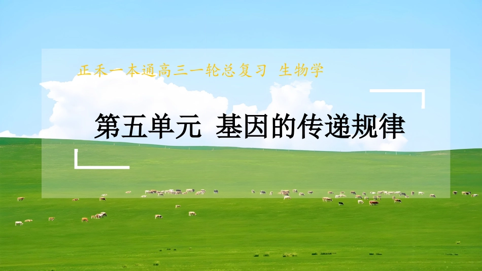2026版正禾一本通高三一轮总复习生物-第25讲  自由组合定律.pptx_第1页