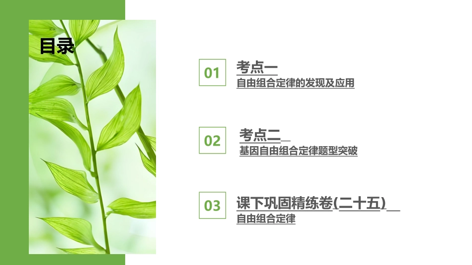 2026版正禾一本通高三一轮总复习生物-第25讲  自由组合定律.pptx_第3页