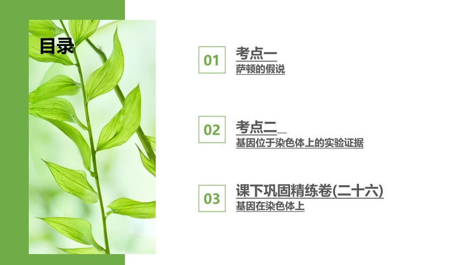 2026版正禾一本通高三一轮总复习生物-第26讲  基因在染色体上.pptx_第3页