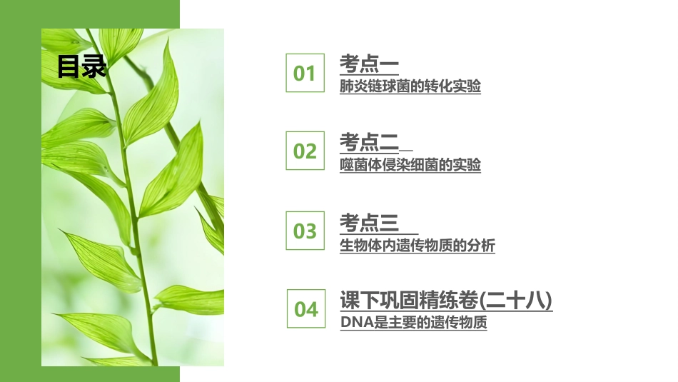 2026版正禾一本通高三一轮总复习生物-第28讲　DNA是主要的遗传物质.pptx_第3页