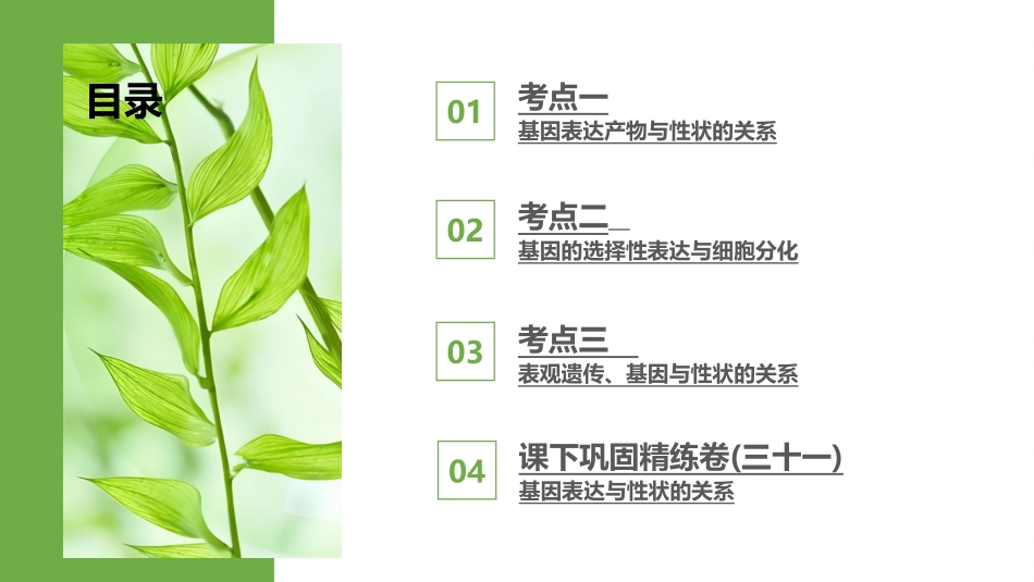 2026版正禾一本通高三一轮总复习生物-第31讲　基因表达与性状的关系.pptx_第3页