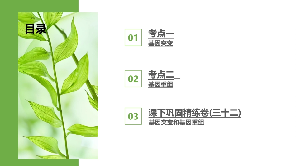 2026版正禾一本通高三一轮总复习生物-第32讲　基因突变和基因重组.pptx_第3页