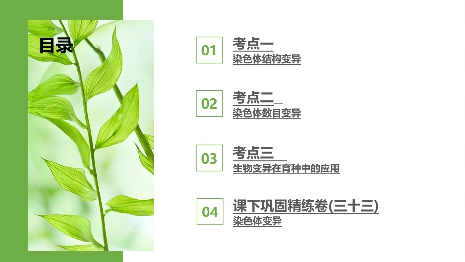 2026版正禾一本通高三一轮总复习生物-第33讲　染色体变异.pptx_第3页
