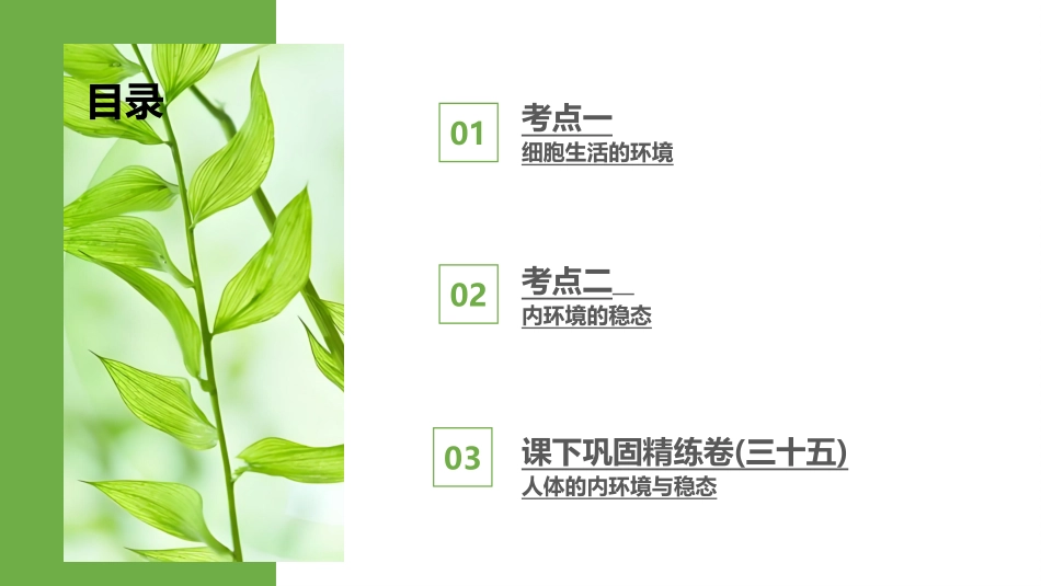 2026版正禾一本通高三一轮总复习生物-第35讲　人体的内环境与稳态.pptx_第3页