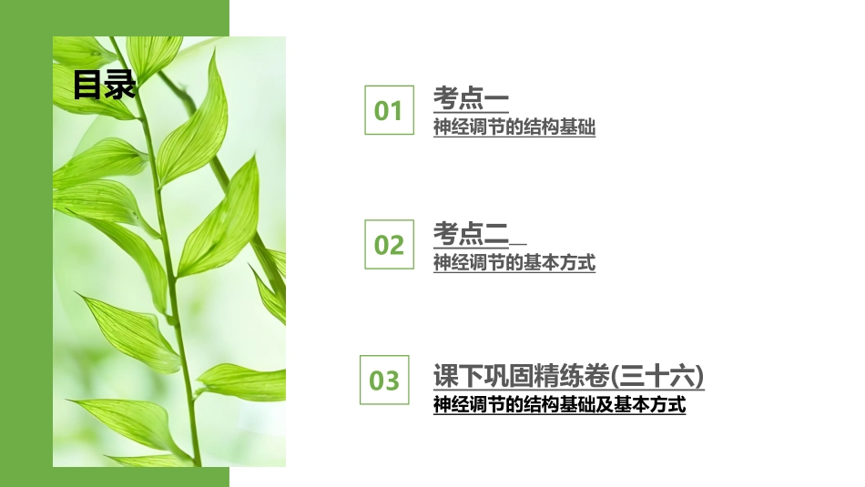 2026版正禾一本通高三一轮总复习生物-第36讲　神经调节的结构基础及基本方式.pptx_第3页