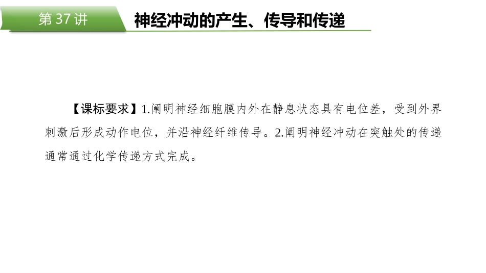 2026版正禾一本通高三一轮总复习生物-第37讲　神经冲动的产生、传导和传递.pptx_第2页
