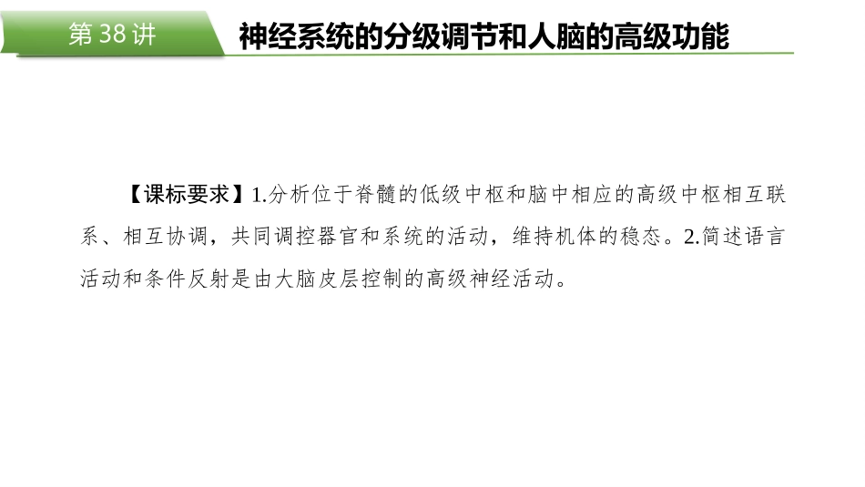 2026版正禾一本通高三一轮总复习生物-第38讲　神经系统的分级调节和人脑的高级功能.pptx_第2页