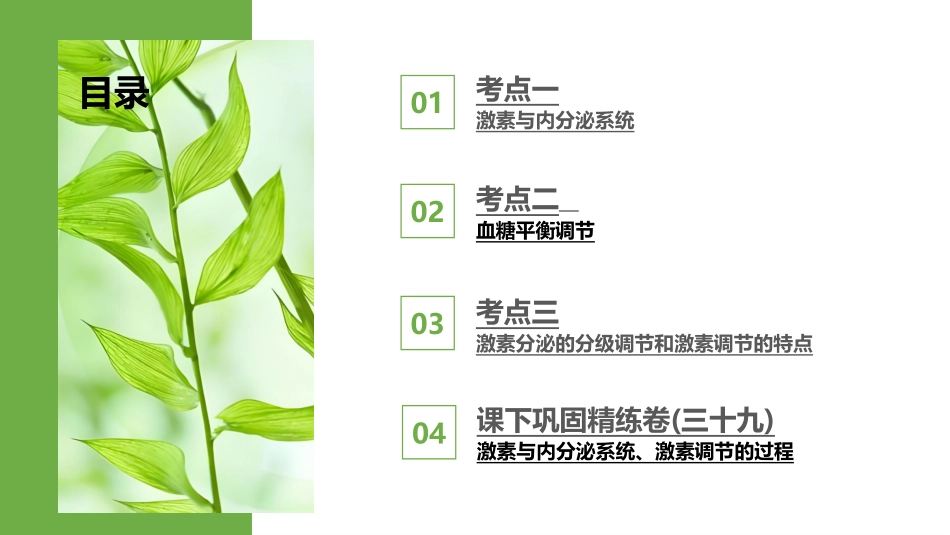 2026版正禾一本通高三一轮总复习生物-第39讲　激素与内分泌系统、激素调节的过程.pptx_第3页