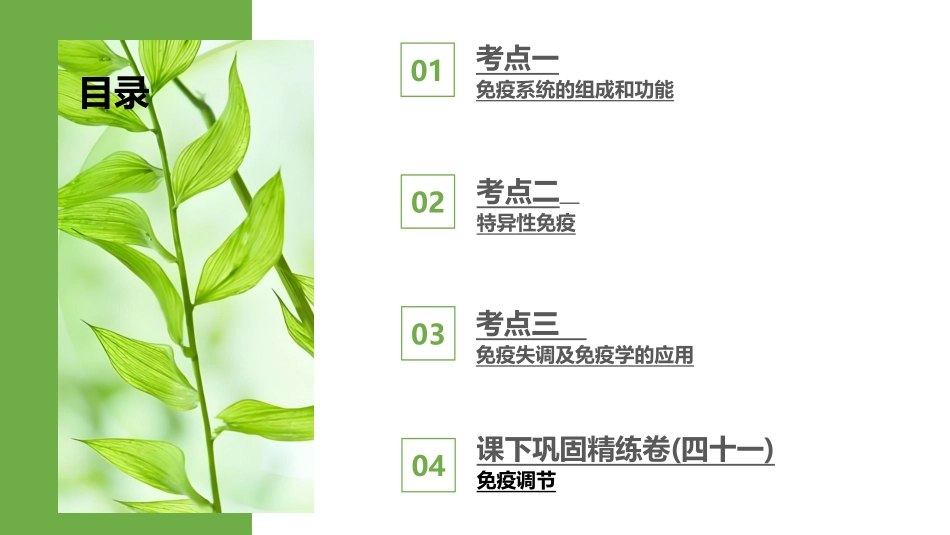 2026版正禾一本通高三一轮总复习生物-第41讲　免疫调节.pptx_第3页