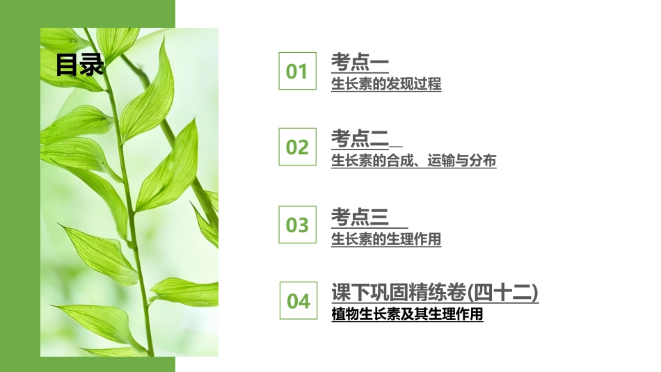 2026版正禾一本通高三一轮总复习生物-第42讲　植物生长素及其生理作用.pptx_第3页