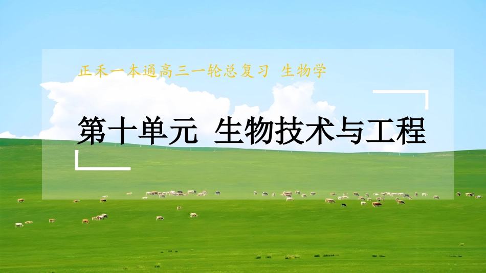 2026版正禾一本通高三一轮总复习生物-第50讲　传统发酵技术的应用、发酵工程及其应用.pptx_第1页