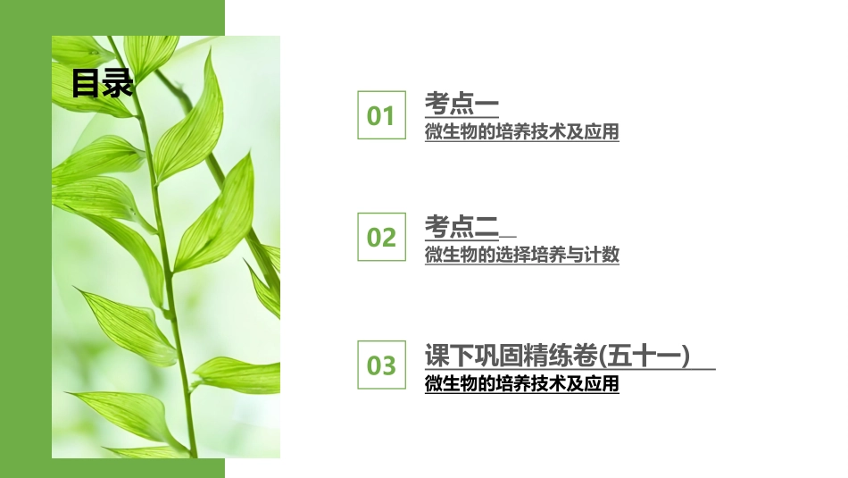 2026版正禾一本通高三一轮总复习生物-第51讲　微生物的培养技术及应用.pptx_第3页