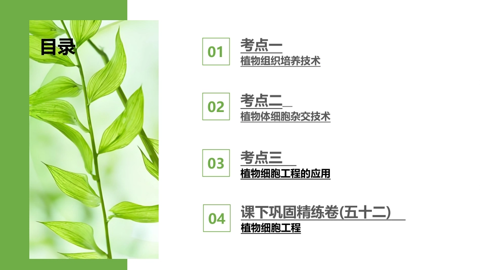 2026版正禾一本通高三一轮总复习生物-第52讲　植物细胞工程.pptx_第3页