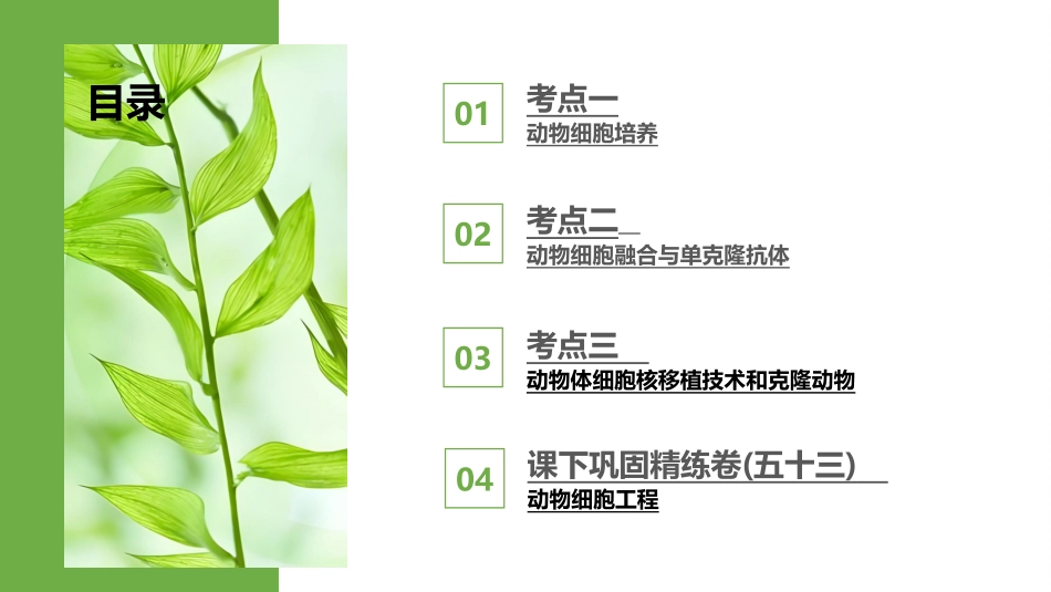 2026版正禾一本通高三一轮总复习生物-第53讲　动物细胞工程.pptx_第3页