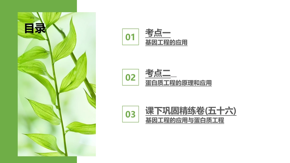 2026版正禾一本通高三一轮总复习生物-第56讲　基因工程的应用与蛋白质工程.pptx_第3页