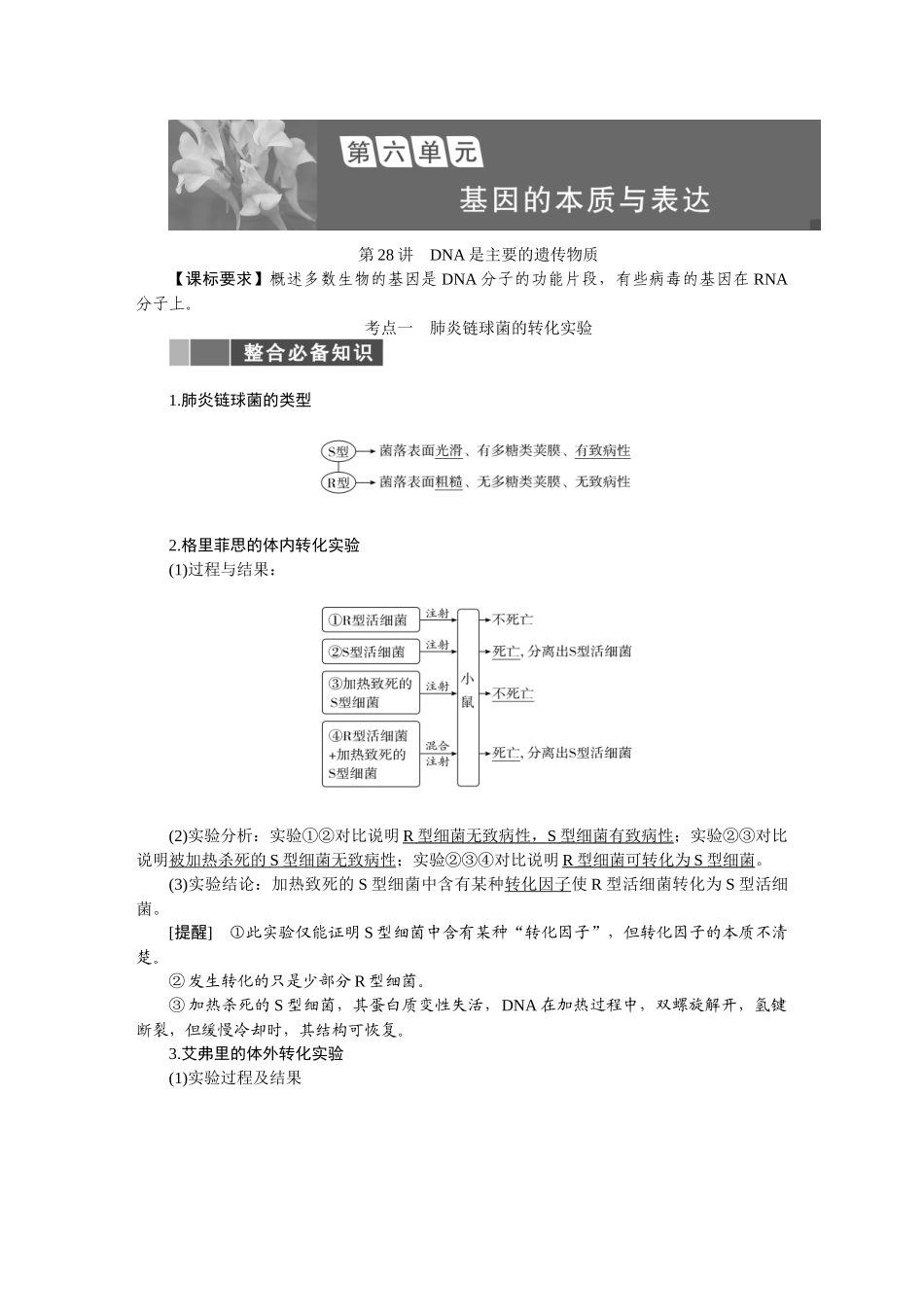 2026版正禾一本通高三一轮总复习生物-第六单元  基因的本质与表达.docx_第1页
