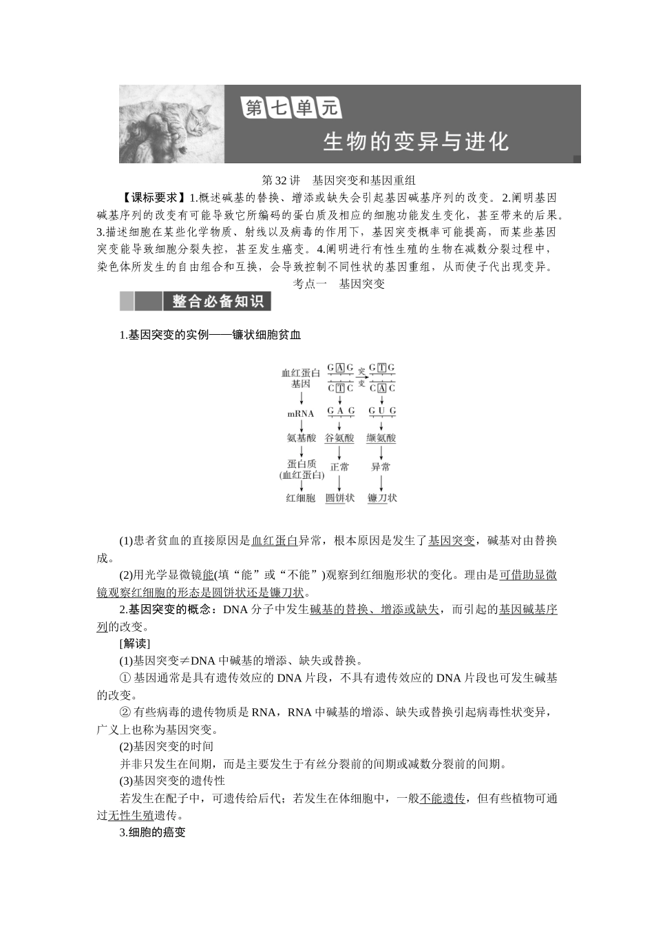 2026版正禾一本通高三一轮总复习生物-第七单元  生物的变异与进化.docx_第1页