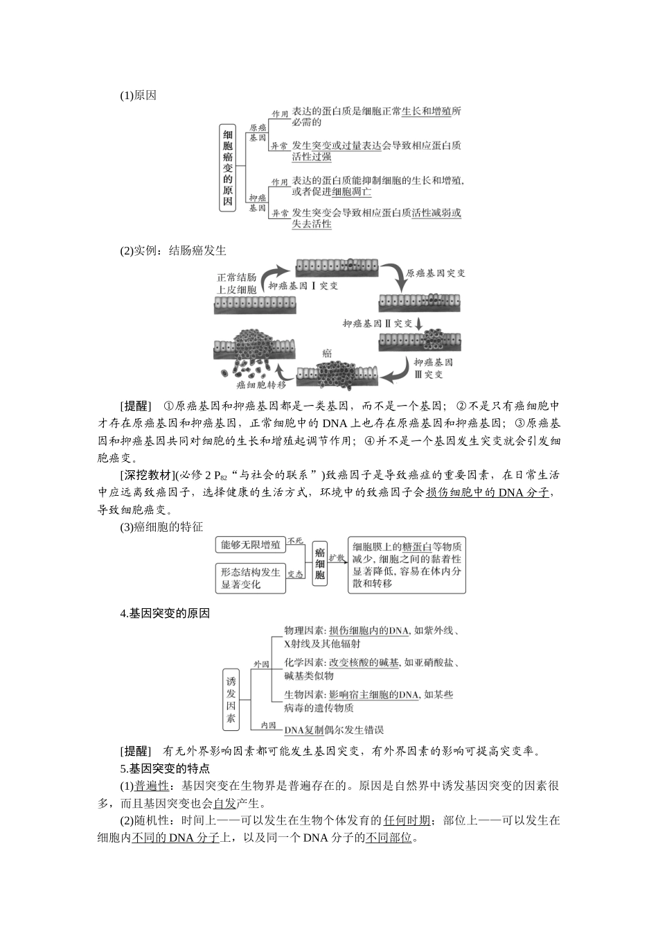 2026版正禾一本通高三一轮总复习生物-第七单元  生物的变异与进化.docx_第2页