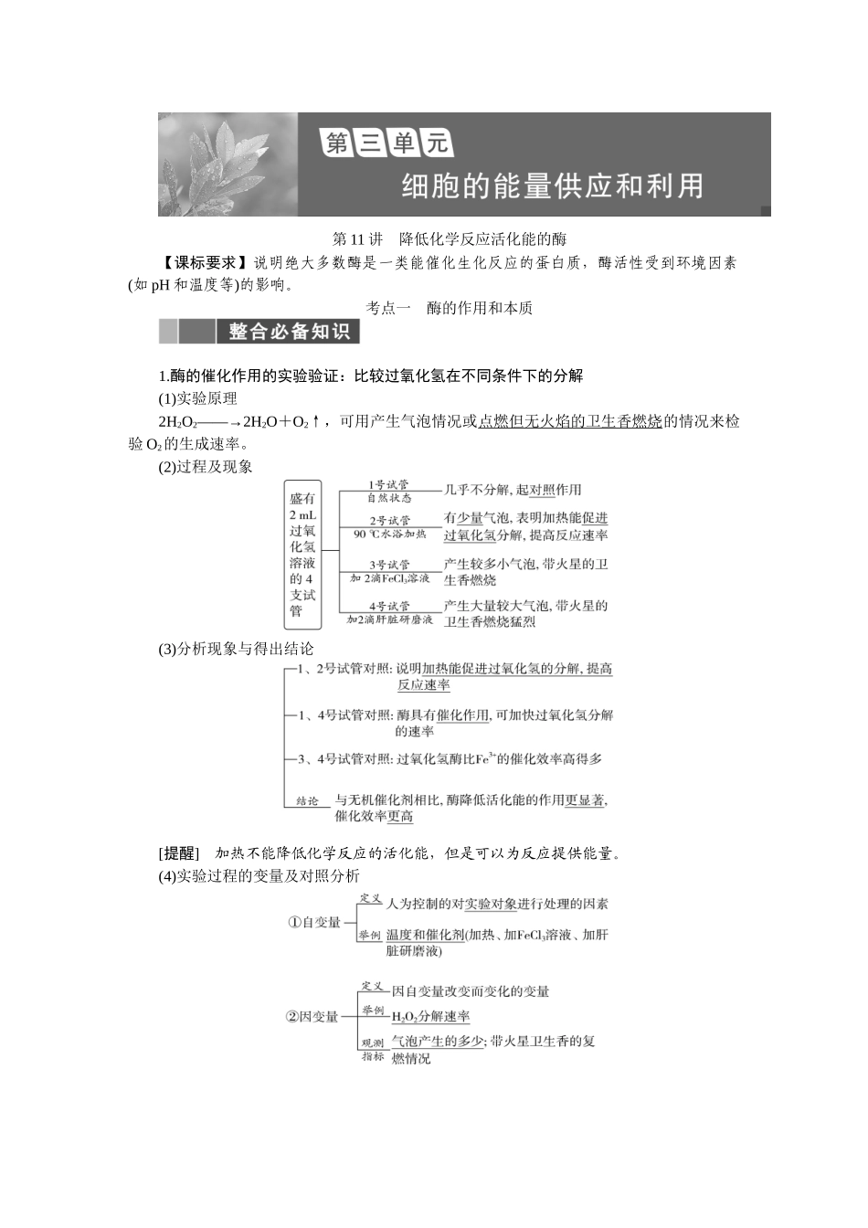 2026版正禾一本通高三一轮总复习生物-第三单元  细胞的能量供应和利用.docx_第1页