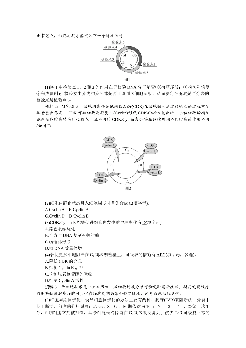 2026版正禾一本通高三一轮总复习生物-第四单元  细胞的生命历程.docx_第3页
