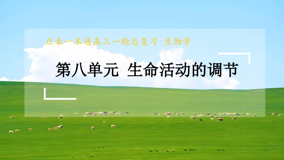 2026版正禾一本通高三一轮总复习生物-热点强化(八)　动物生命活动调节模型的构建与分析.pptx_第1页