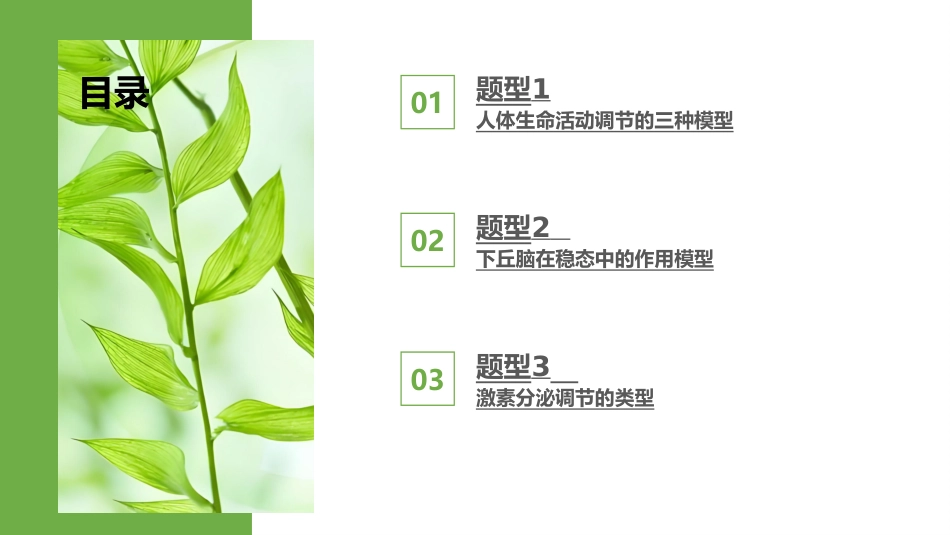 2026版正禾一本通高三一轮总复习生物-热点强化(八)　动物生命活动调节模型的构建与分析.pptx_第3页