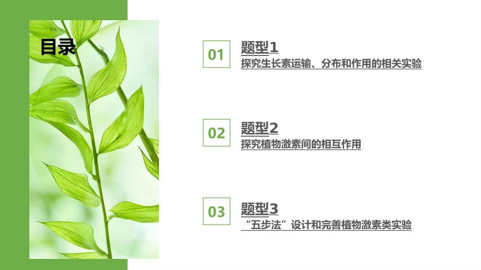 2026版正禾一本通高三一轮总复习生物-热点强化(九)　植物激素调节的相关实验探究.pptx_第3页