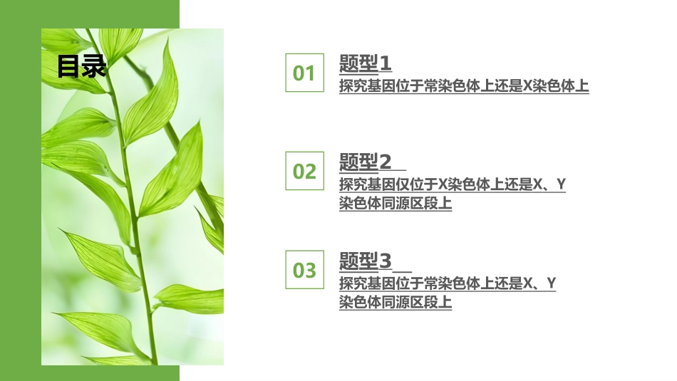 2026版正禾一本通高三一轮总复习生物-热点强化(六)  基因位置的判断与探究.pptx_第3页