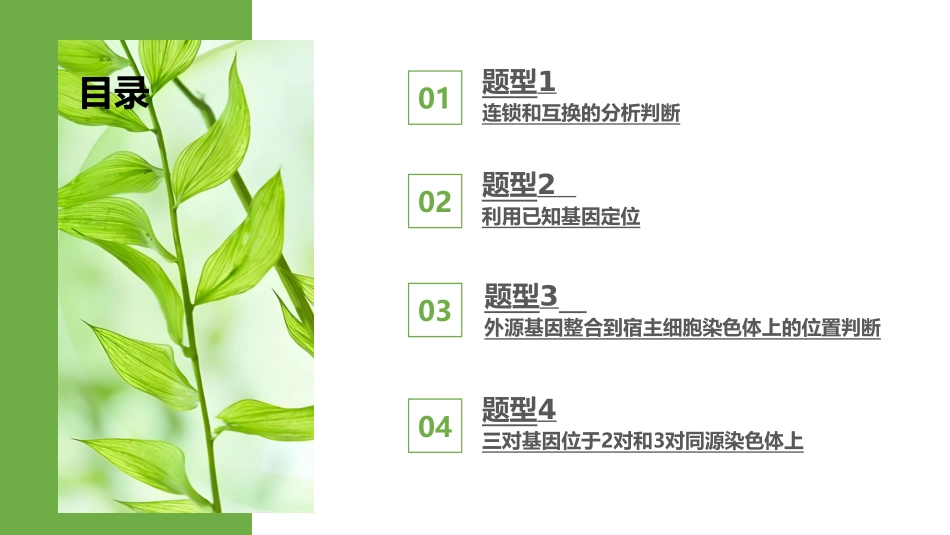 2026版正禾一本通高三一轮总复习生物-热点强化(五)  探究不同对基因在常染色体上的位置.pptx_第3页