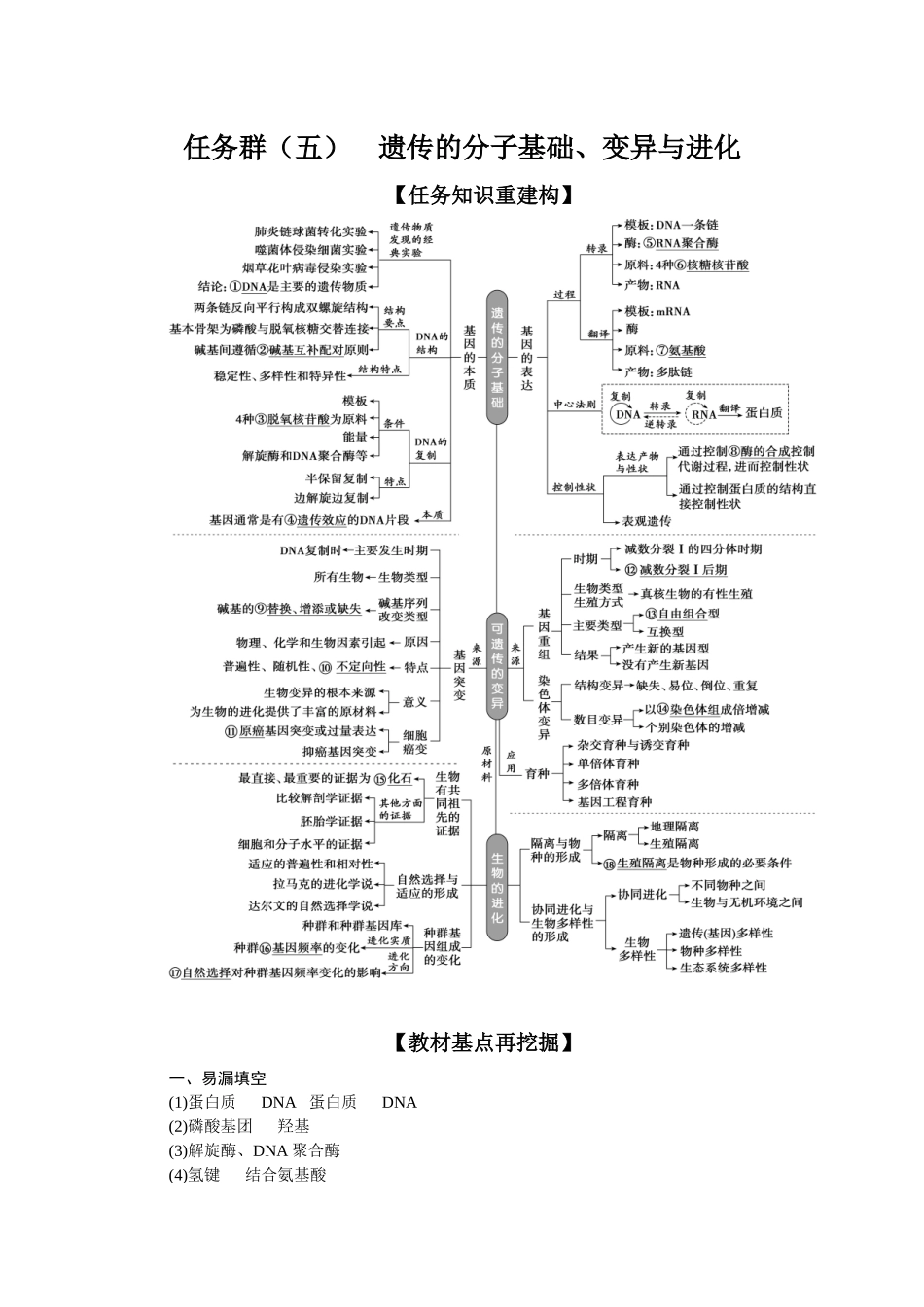 2026版正禾一本通高三一轮总复习生物-任务群（五）　遗传的分子基础、变异与进化.docx_第1页