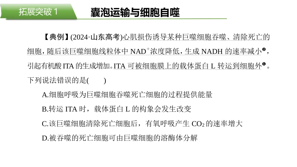 2026版正禾一本通高三一轮总复习生物-拓展突破1  囊泡运输与细胞自噬.pptx_第2页