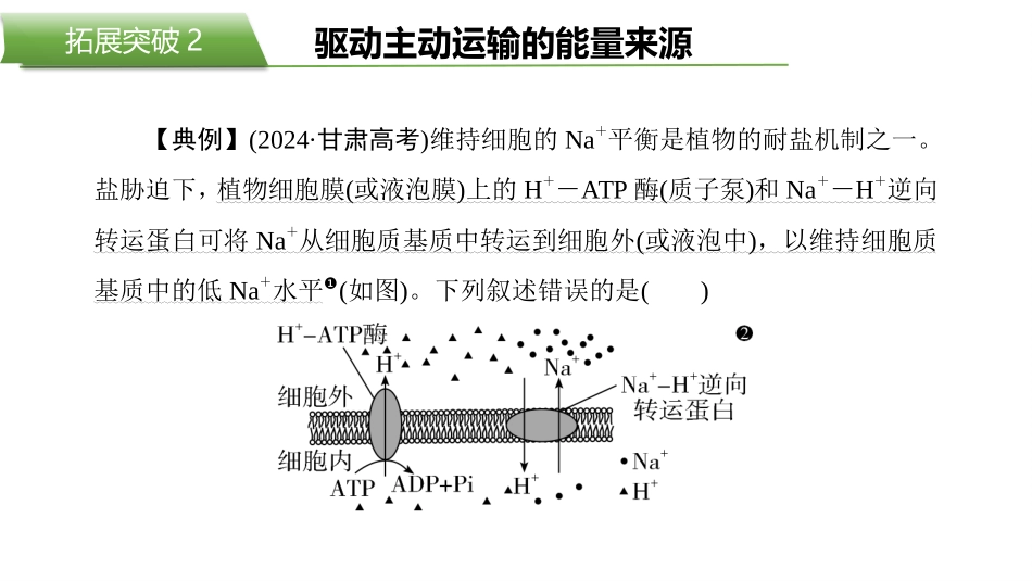 2026版正禾一本通高三一轮总复习生物-拓展突破2  驱动主动运输的能量来源.pptx_第2页
