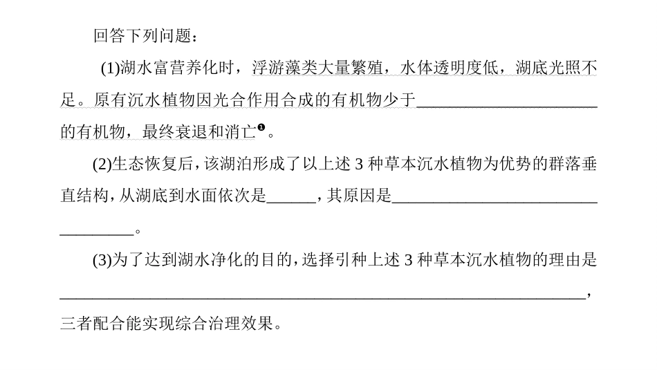 2026版正禾一本通高三一轮总复习生物-拓展突破3  C3植物、C4植物、CAM植物、光呼吸和光抑制.pptx_第3页