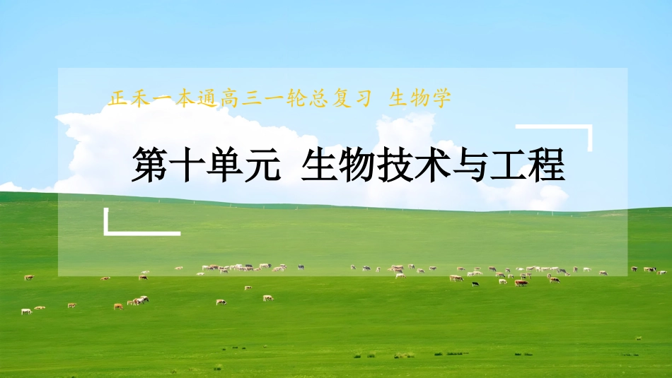 2026版正禾一本通高三一轮总复习生物-拓展突破5　基因组编辑技术及PCR的综合应用.pptx_第1页