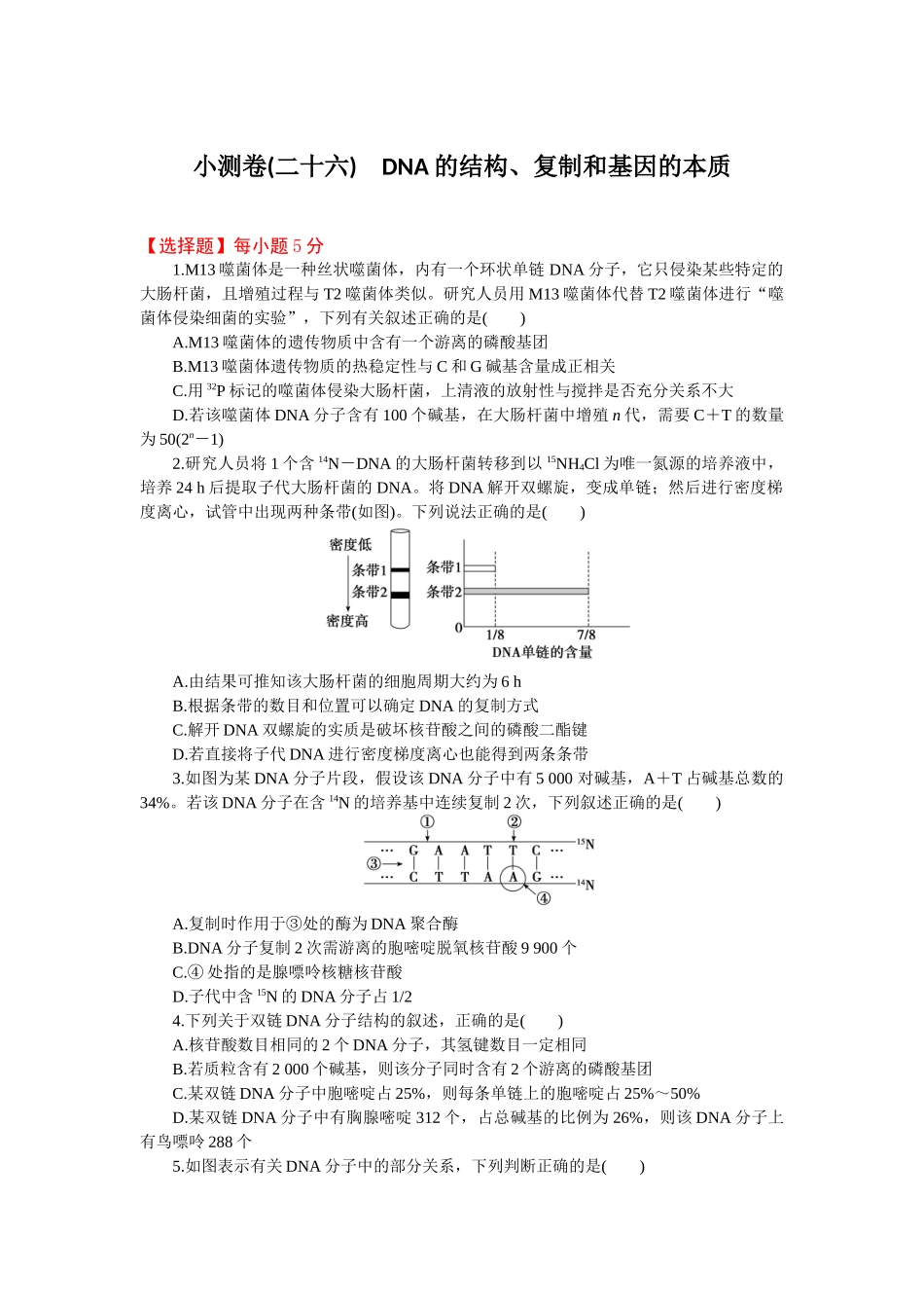 2026版正禾一本通高三一轮总复习生物-小测卷（二十六）(1).docx_第1页