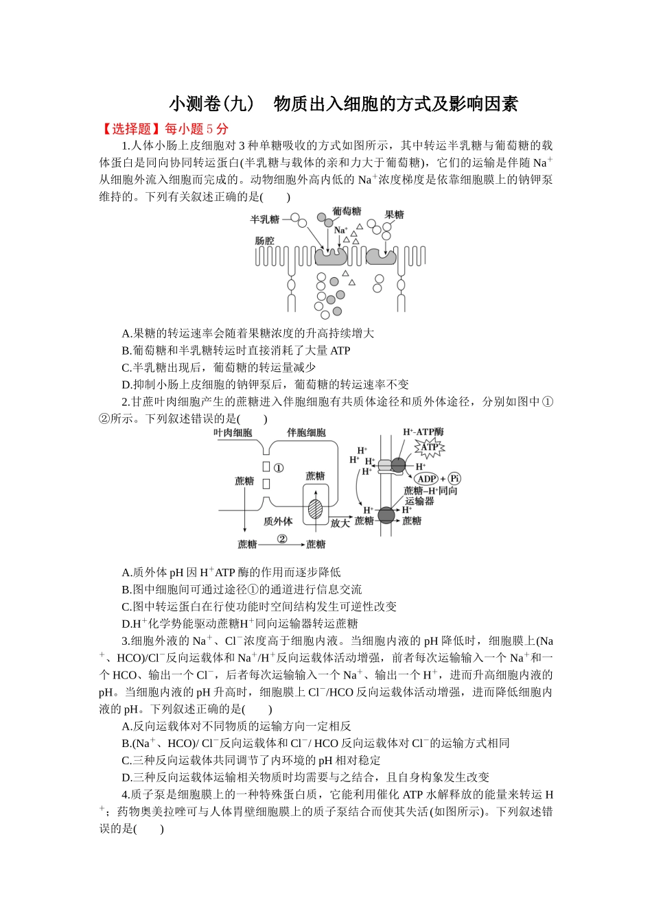 2026版正禾一本通高三一轮总复习生物-小测卷（九）(1).docx_第1页