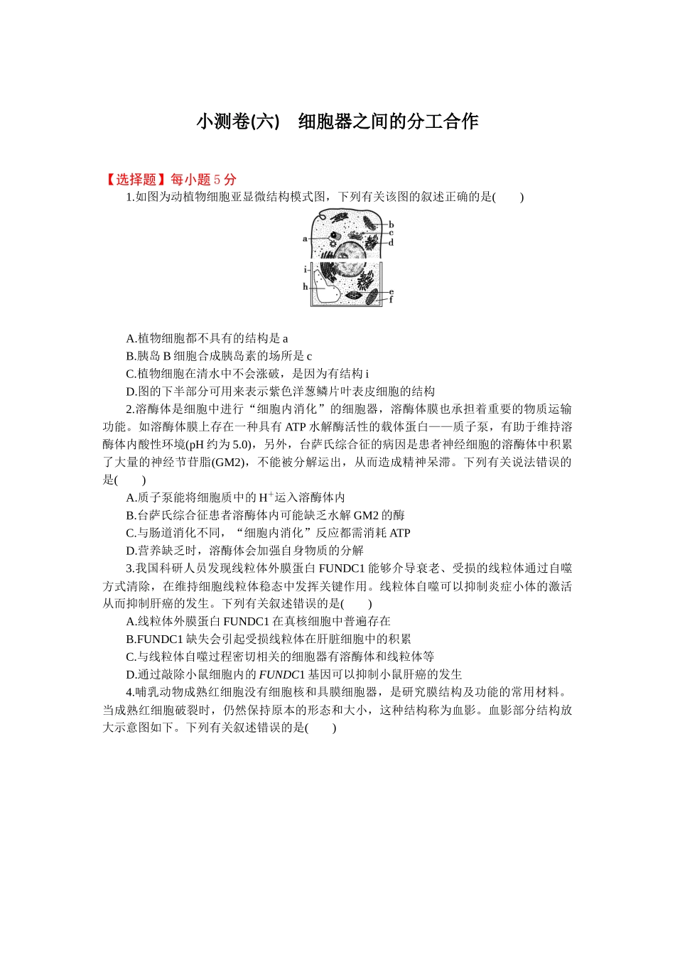 2026版正禾一本通高三一轮总复习生物-小测卷（六）(1).docx_第1页